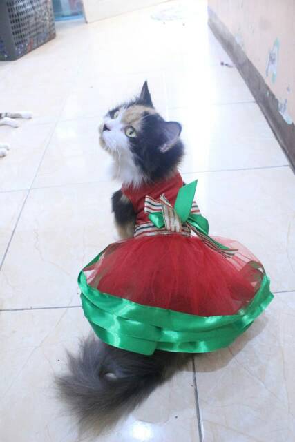 Dress tile untuk kucing dan anjing edisi natal 2019 / baju kucing murah size S-XL