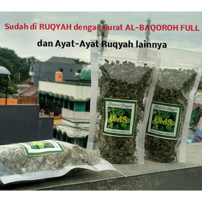 

Teh Bidara Ruqyah Teh Daun Bidara Arab Teh Ruqyah Bidara