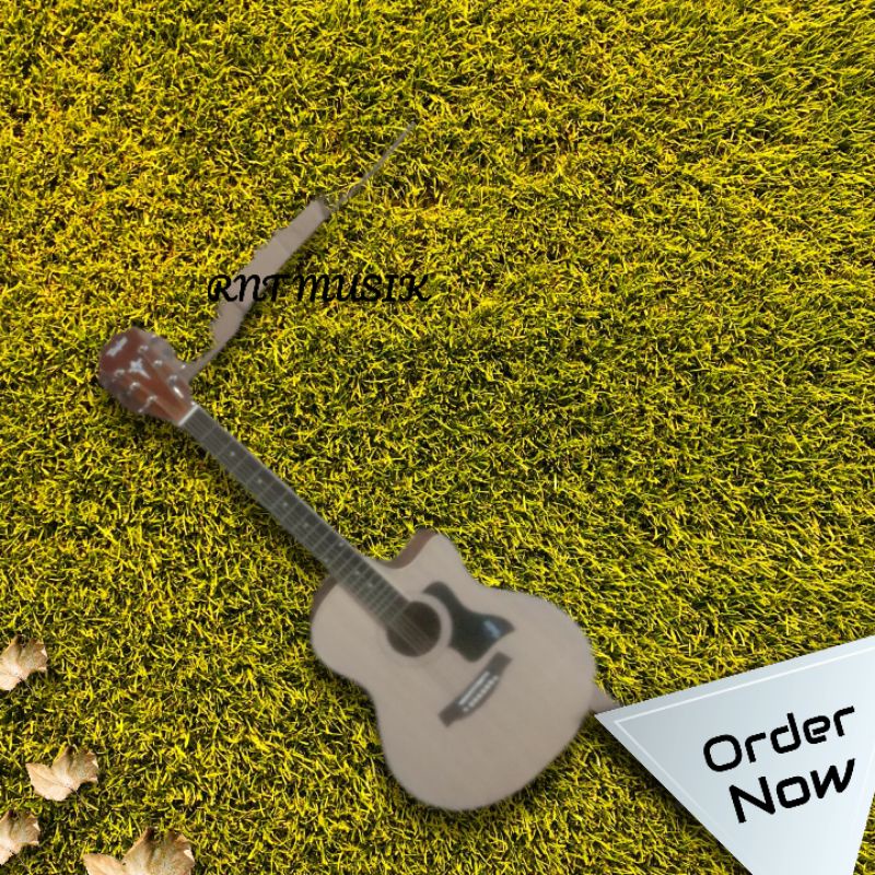 GITAR~AKUSTIK taylor