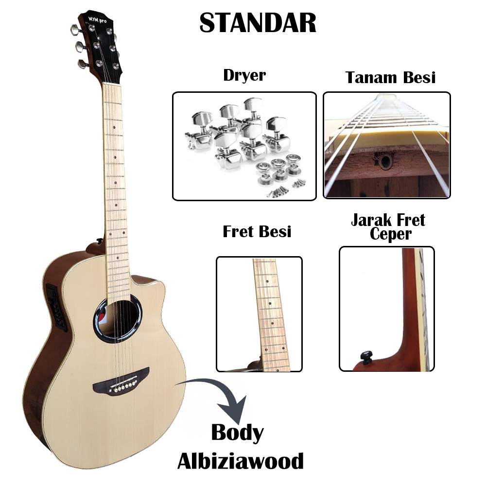 Gitar Akustik Elektrik Apx PREMIUM Custom Fishman