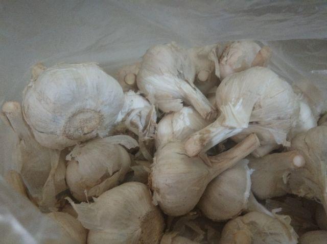 Bawang Putih Kating Kotor 1kg