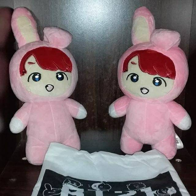 COOKY PLUSHIE