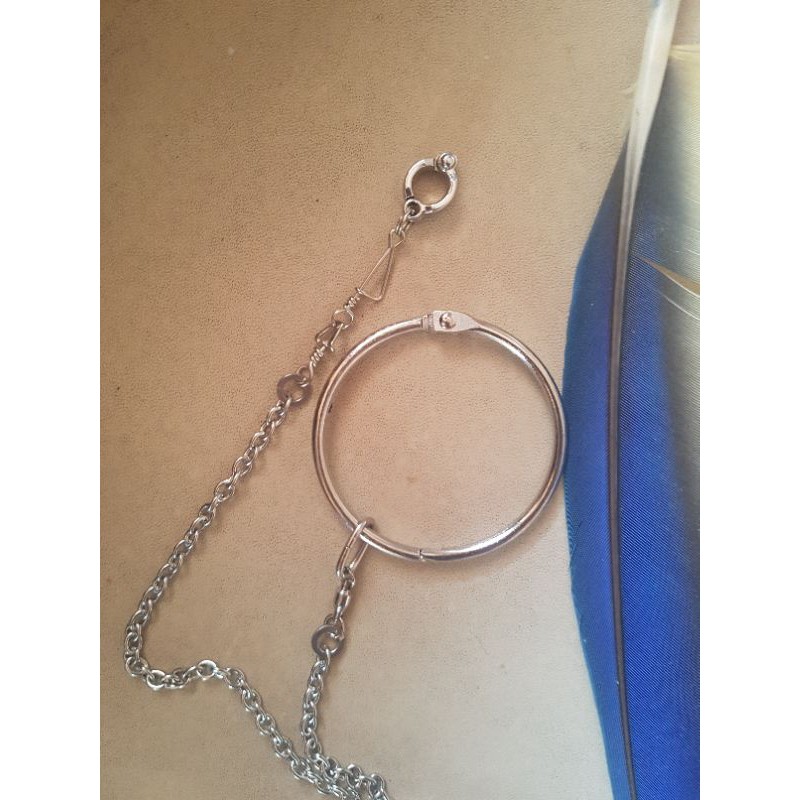 Ring rantai borgol falk ysc conure dll