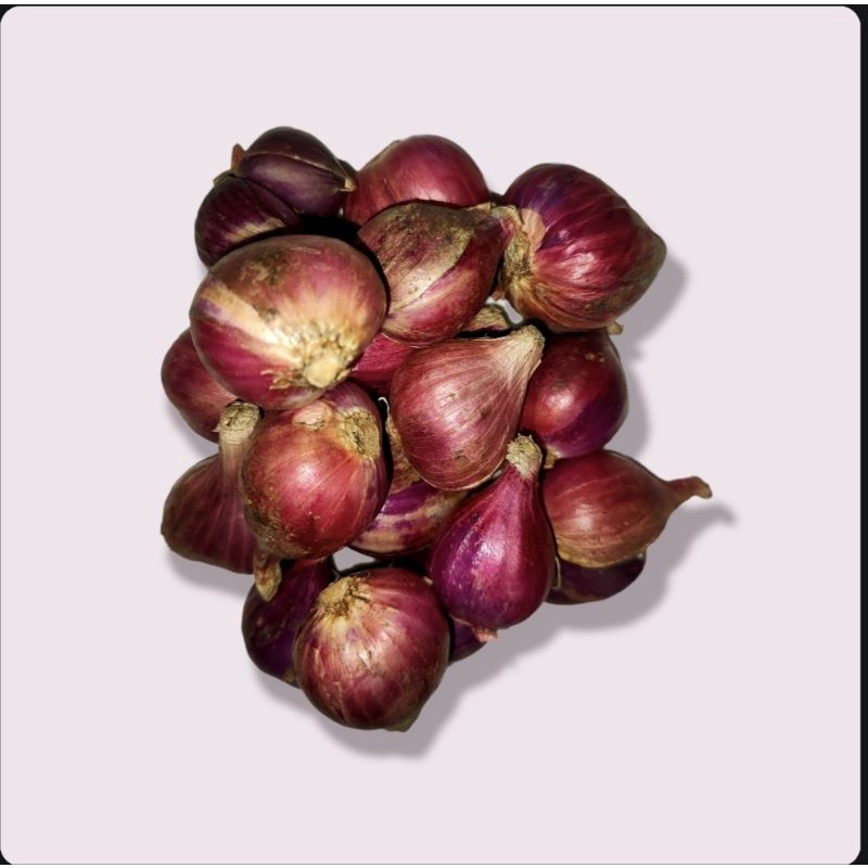 

Bawang Merah Brebes murah