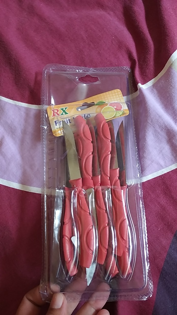 Pisau Buah Stainless Set Isi 12 Pcs Pisau Dapur Mini Pisau
