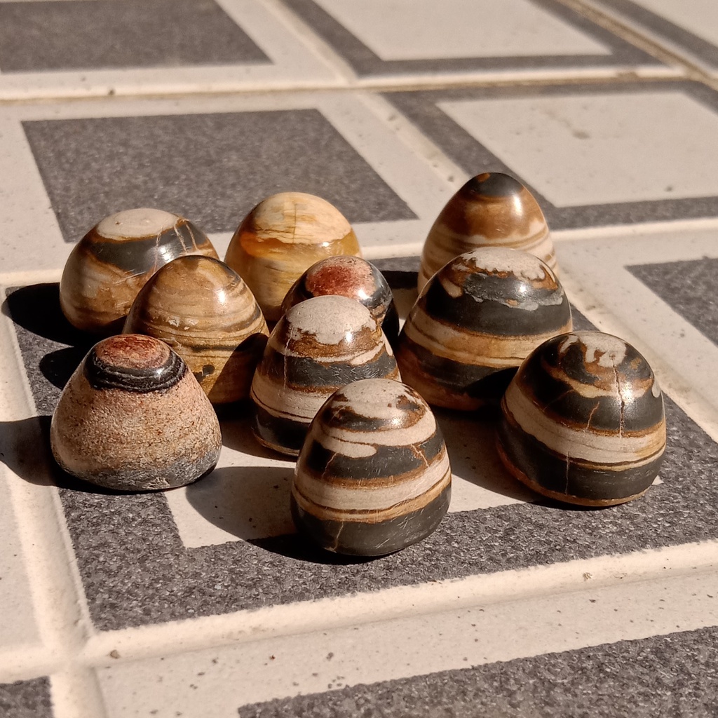 Batu Akik Galih Kelor Puser Bumi Asli dan Natural