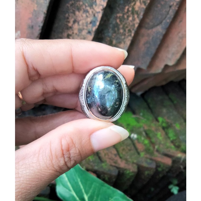 badar besi asli purwo banyuwangi