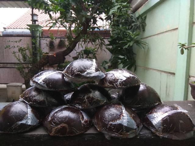 

LAKU Gula Batok Asli Palembang