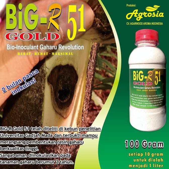 Buruan Beli] Big-R Gold 51 - Inokulan Gubal Gaharu Super - 100 Gram