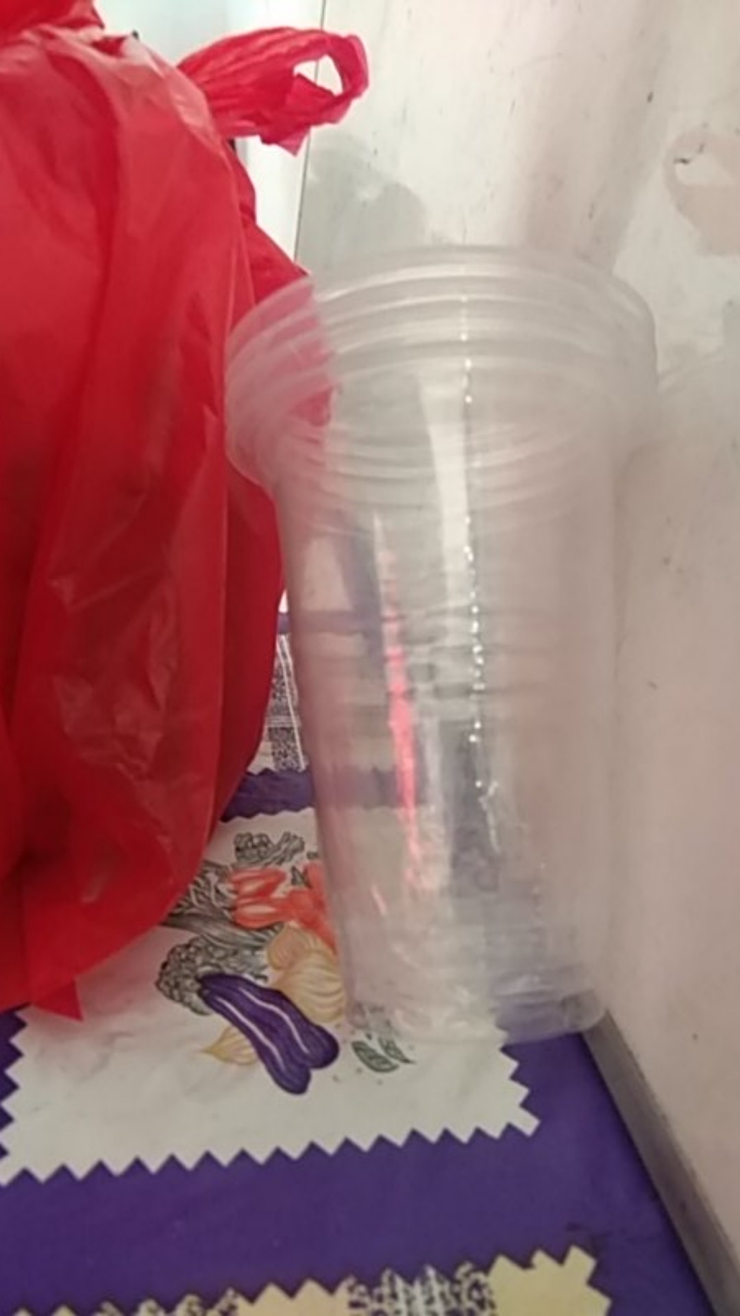 Biji Pohon Cypress / Pohon Cemara / Platycladus Orientalis