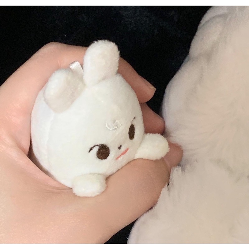 baca deskripsi  DOYOUNG DODO DOLL BONEKA NCT