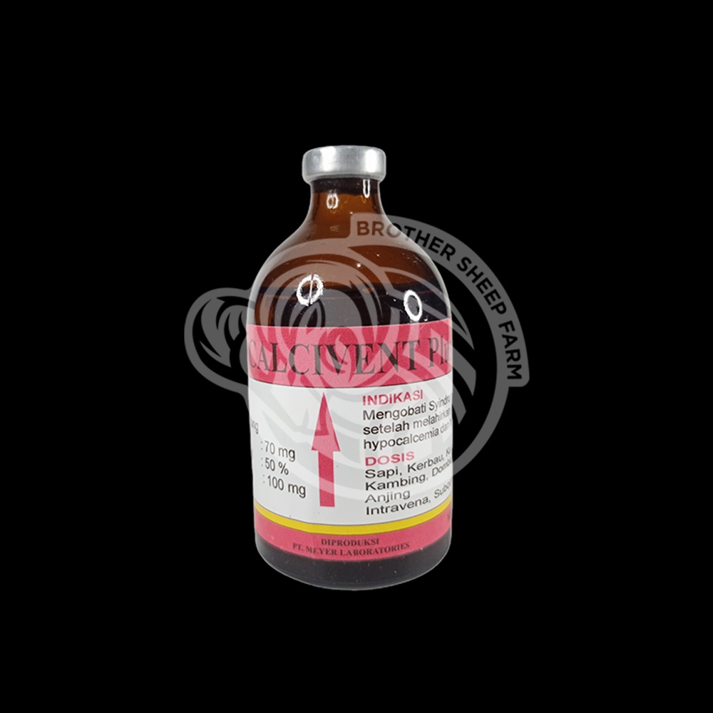 Calcivent Plus Inj obat Hypocalcemia Ambruk Domba Kambing Sapi dll