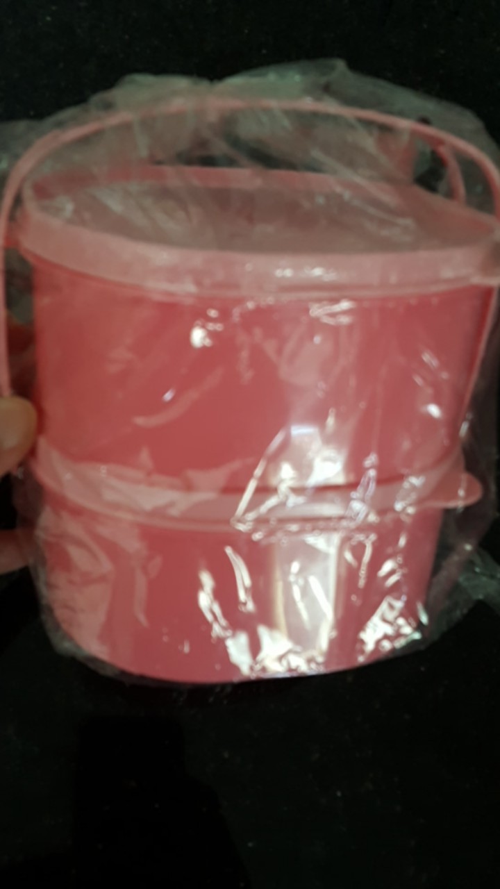 Lunch Box / Rantang Plastik Susun 2 Murah Golden Sunkist Rp123/1