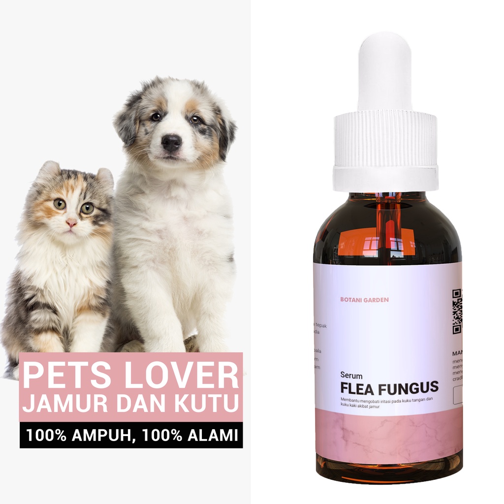 Obat jamur anjing paling ampuh dan aman dari bahan alami