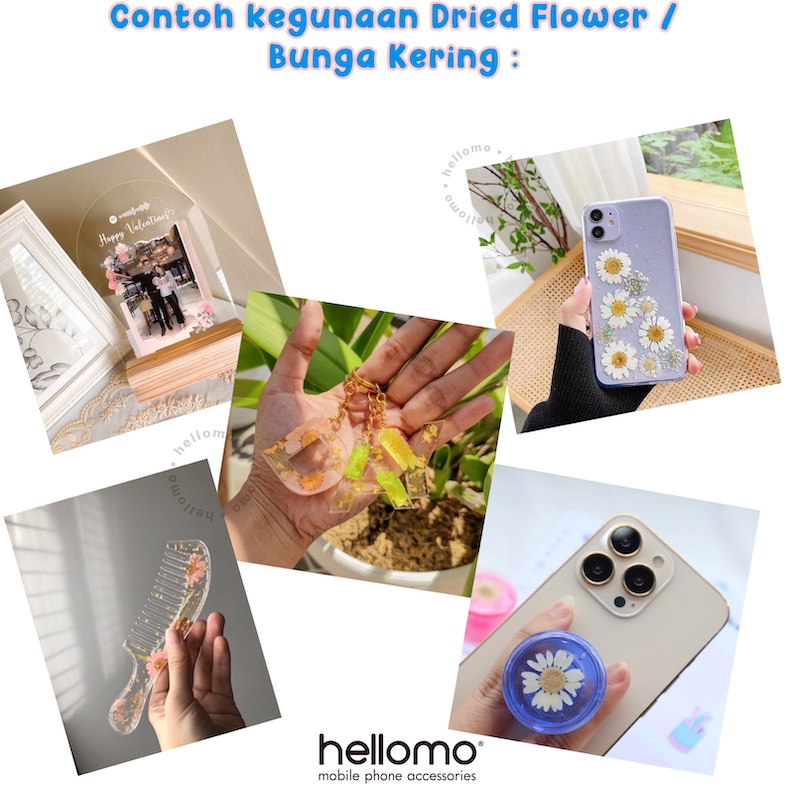 Dried Flower Resin DIY Bunga Kering Dried Flowers Satuan Bunga Kering Asli Pressed DIY Resin Epoxy Resin White Daisy Dried Flowers