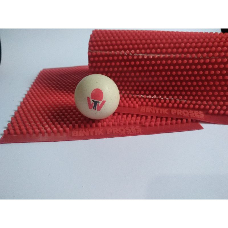 bintik proses DR fanni