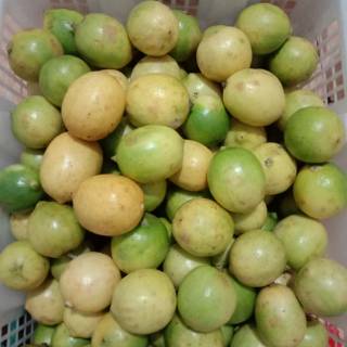 

lemon lokal 250 gr-500 gr