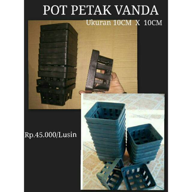 POT PETAK ANGGREK VANDA GANTUNG