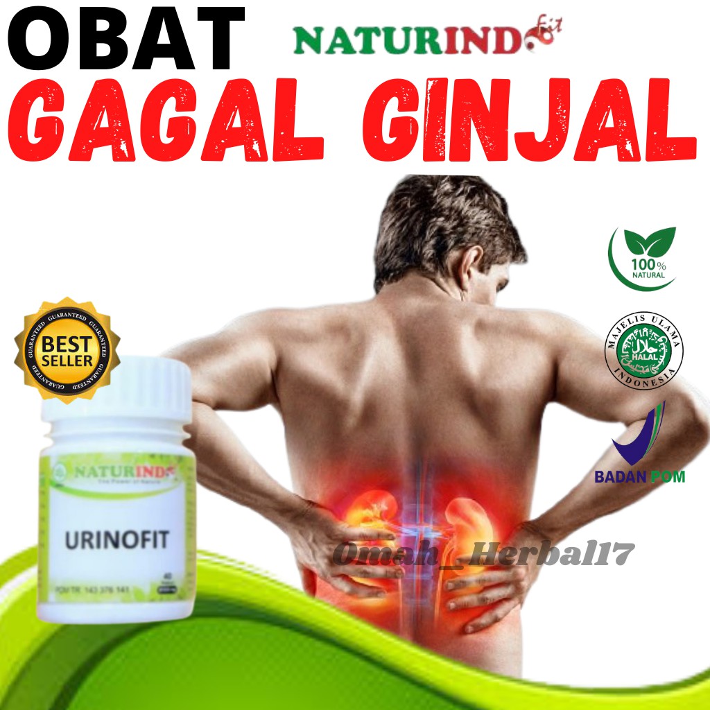 Obat Gagal Ginjal Obat Herbal Gagal Ginjal Obat Ginjal Bengkak Urinofit