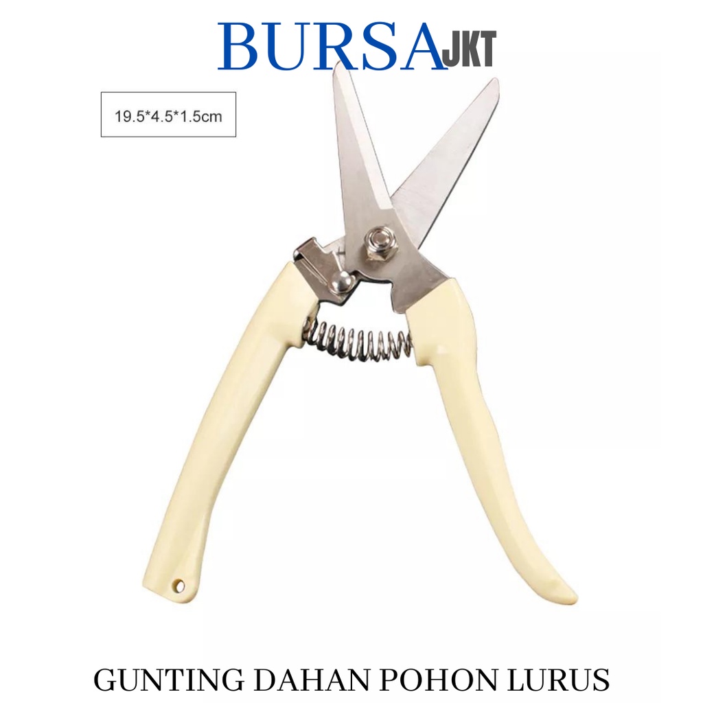 GUNTING DAHAN RANTING BUNGA TANAMAN LURUS PERALATAN BERKEBUN PRUNING SHEARS LURUS