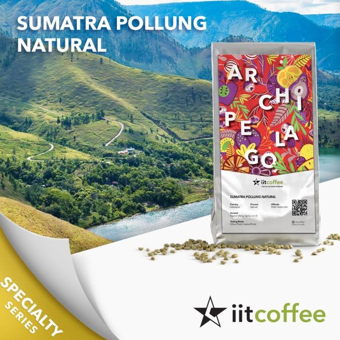 

Arabica Green Beans - Sumatra Pollung Natural