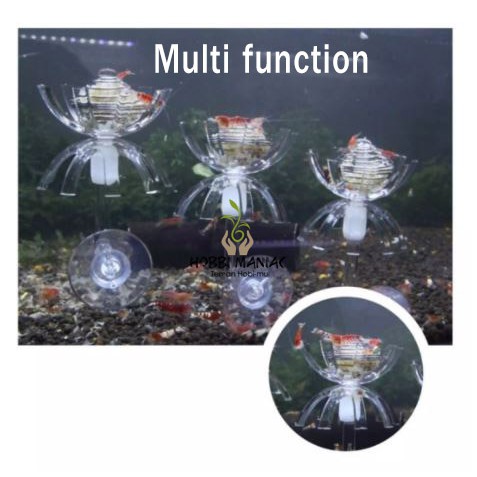 Shrimp Shelter Shrimp Dish Udang Hias Serbaguna Multifunction