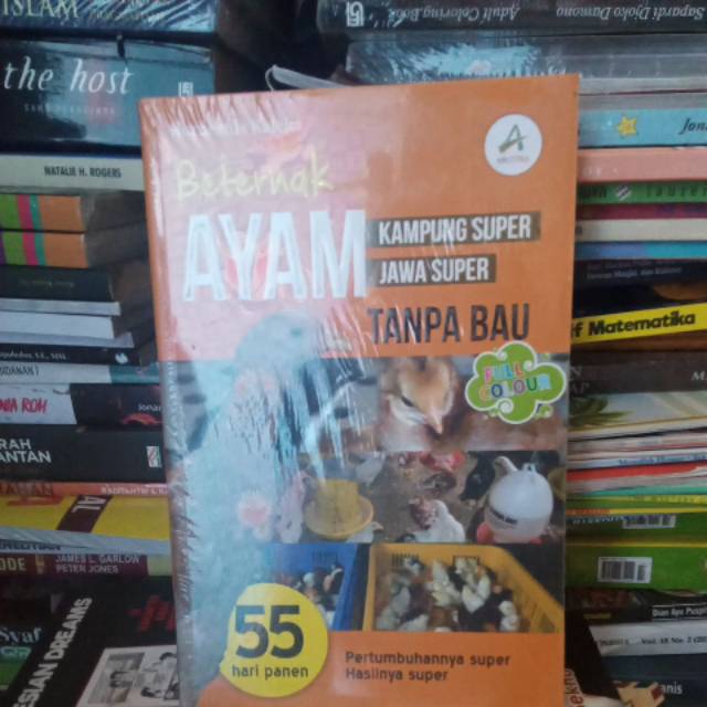 Beternak Ayam kampung Super,Jawa super TANPA BAU