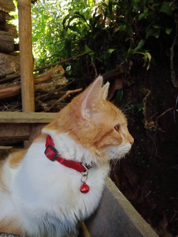 Atasan Batik Wanita Kekinian Dolbi Dobby Doby Dobi Tenun Sutra Halus Katun Atbm