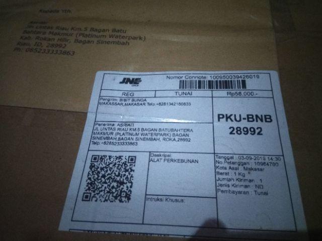 Benih Vinca Coram Deo Mata Dewa Tegak 10 Biji – Kemasan Foil