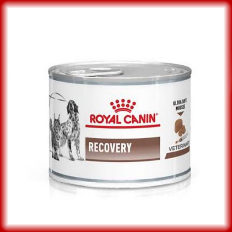 Royal Canin Recovery Kaleng 195g / Royal Canin Rc Vet Wet food