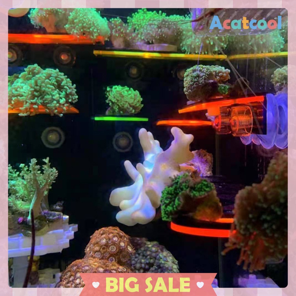 Fish Tank Fluorescence Coral Frag Rack Aquarium Reef with Plug Holder Stand