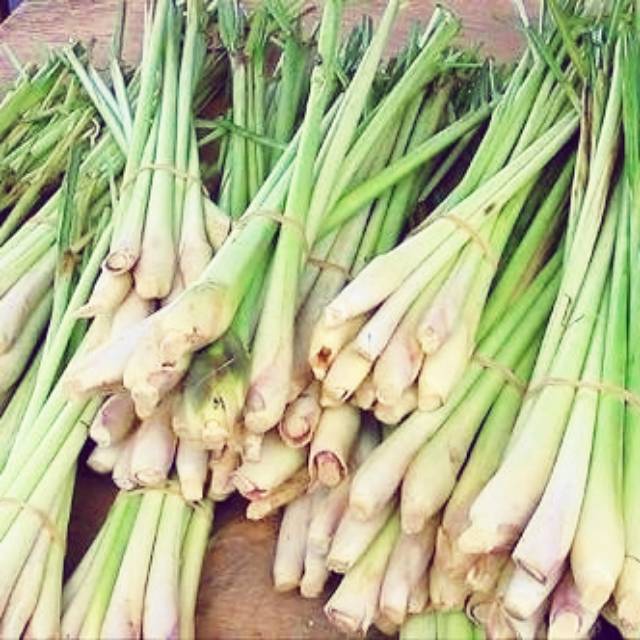 

DAUN SERAI / SEREH FRESH (Harga per 500gr)