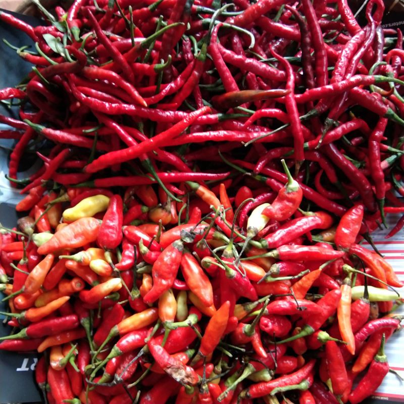 

cabe merah