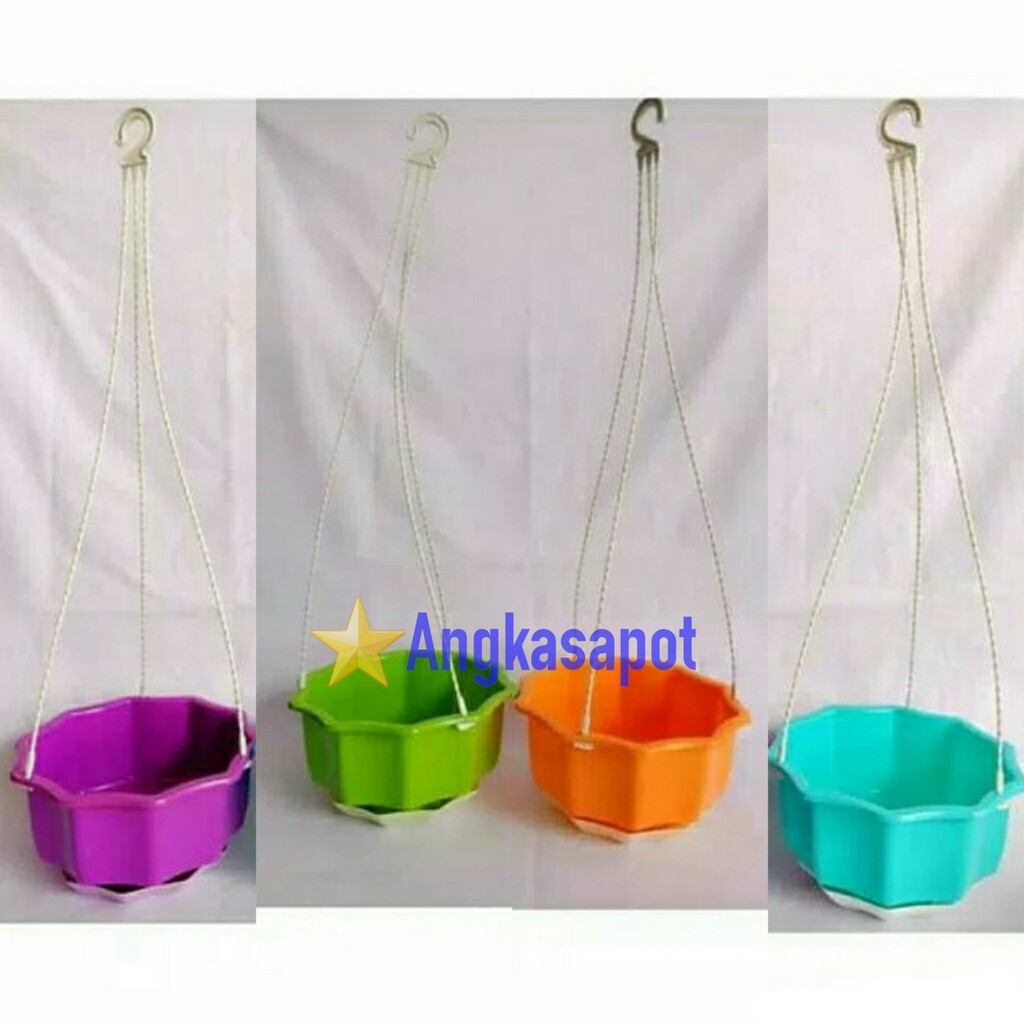 Pot Gantung Bunga Tanaman Enoki