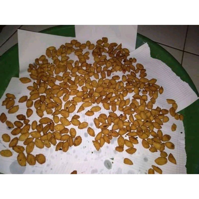 

Biji Ketapang