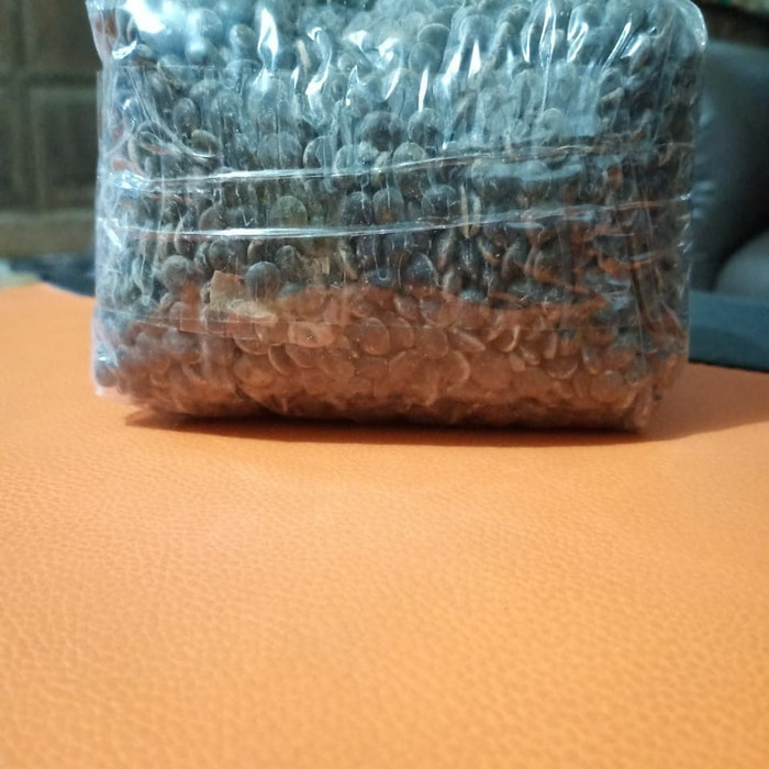 

Biji Klampis Arabica (hitam) 1kg