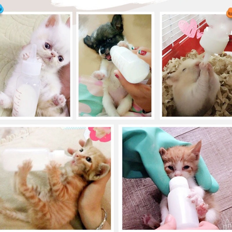 60Ml Botol Silikon Hewan Peliharaan Dot Kucing Botol Susu Anjing Kitten Perlindungan Dan Keamanan Lingkungan - AG2