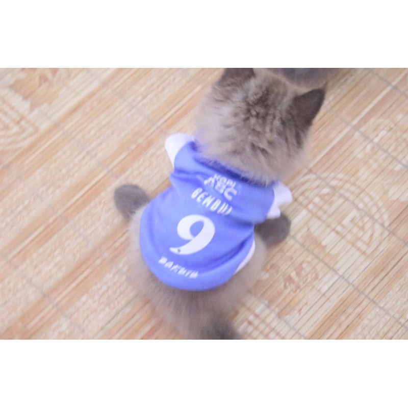 Kaos Jersey design persib untuk kucing dan anjing / jersey bola murah kucing &amp; anjing size S M L XL