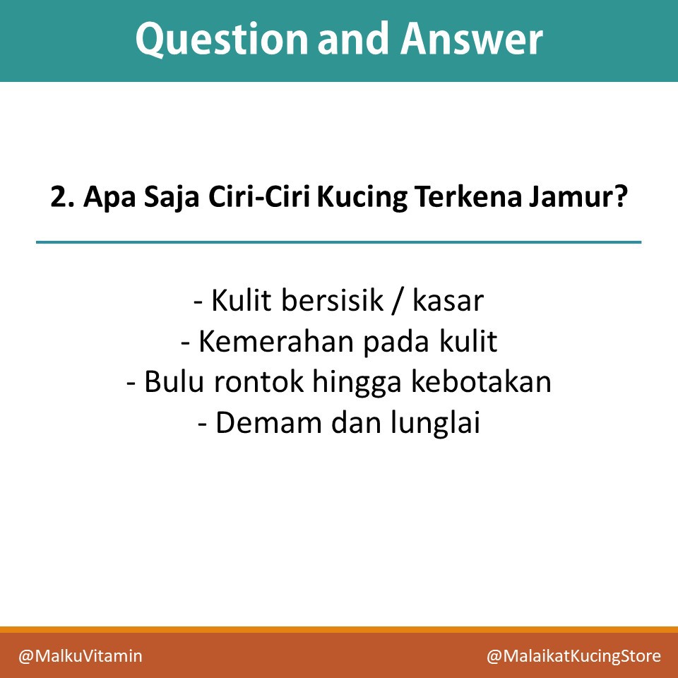 Paket MALKU Anti Jamur Kucing, Ringworm, Scabies - Bulu Lebat Lagi - MALKU Vitamin