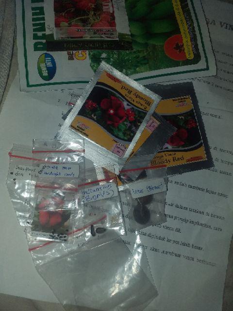 Benih Vinca Heat Wave Blue With Eye Juntai 10 Biji - Kemasan Foil