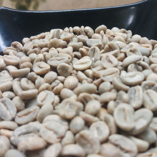 

Greenbean kopi mentah Arabika Fullwash Puntang Haruman Jawa barat 1kg