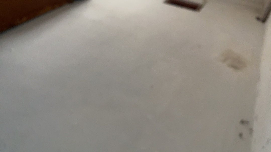 Medisoft Cotton Ball / Kapas Bulat Biru ( 1pack )