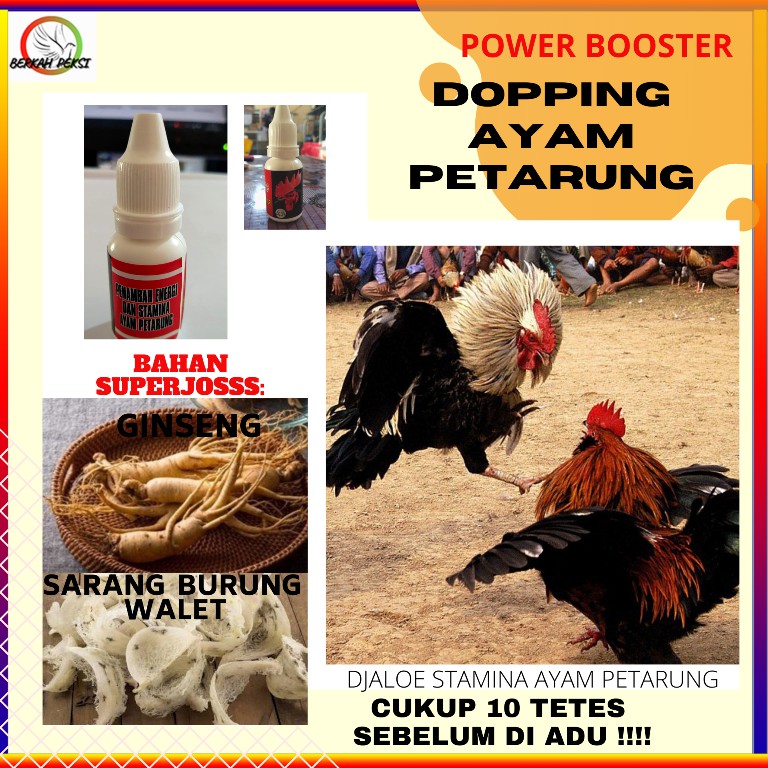DOPING AYAM PETARUNG ADUAN LAGA BANGKOK MERPATI BALAP  BOOSTER SUPER POWER TENAGA TARUNG SUPER GILA