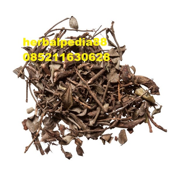 

Luo Shi Teng Star Jasmine Vine 100 gram