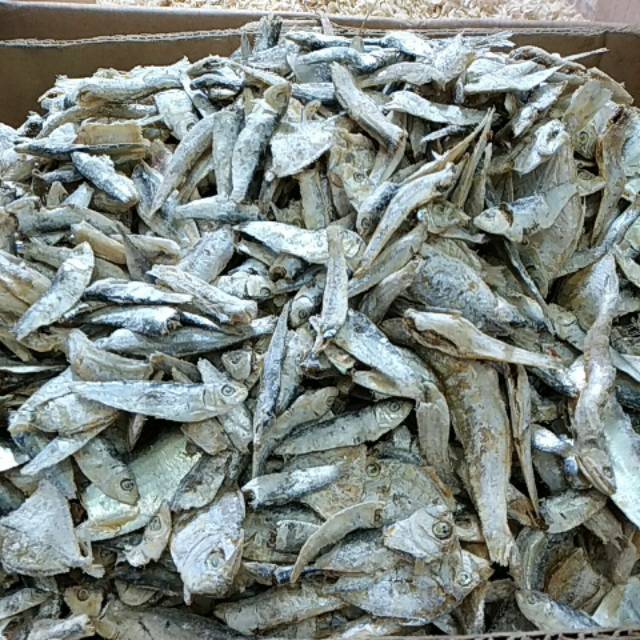 

Ikan sampah campur medan berat 250gram