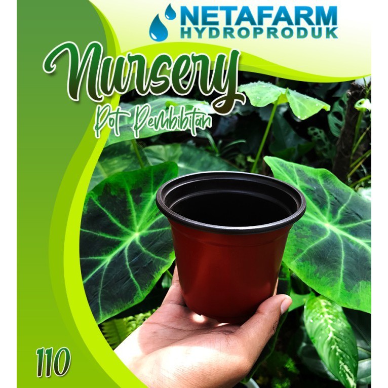 POT NURSERY ELASTIS Pembibitan Tanaman Coklat Hitam no 110 - 1 Lusin