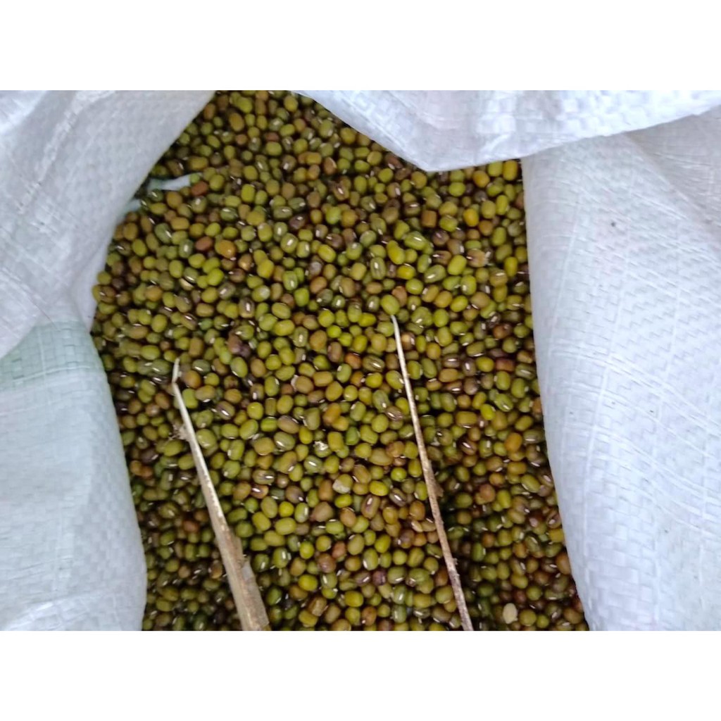 

Kacang Hijau Australia Kacang Ijo Bagus 1 KG Fresh Terlaris