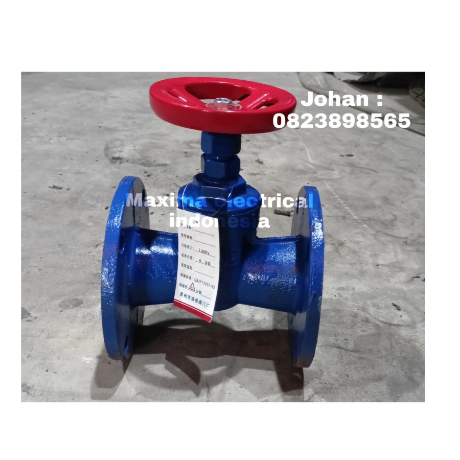 Gate valve DN65 2,5 Inch