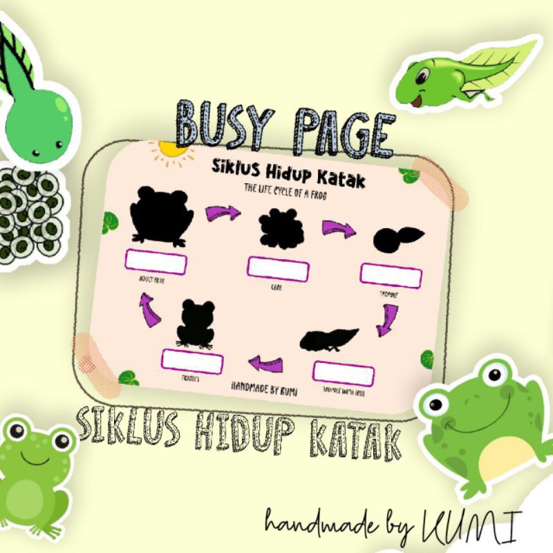 Busy page "Daur Hidup Katak"