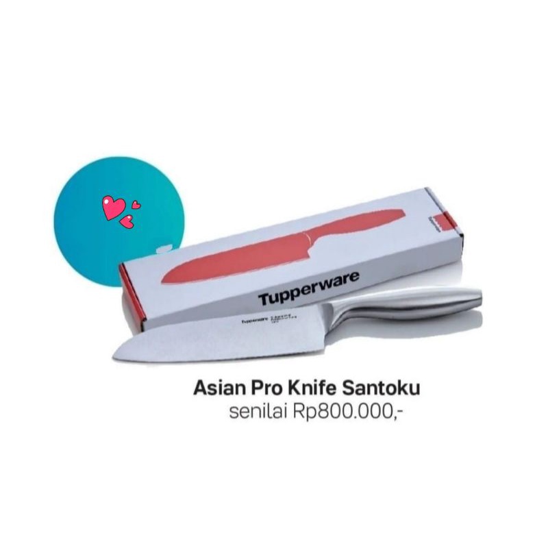 Asian Pro Knife Santoku (1)